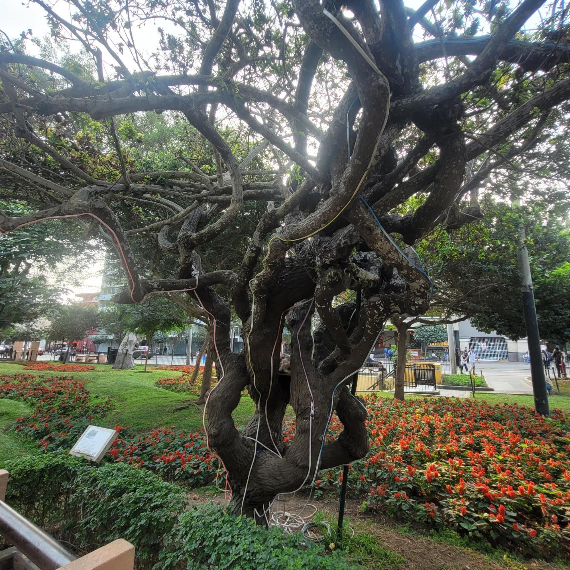The Guest House 1 At The Booming Center Of Miraflores, Lima - Peru 외부 사진